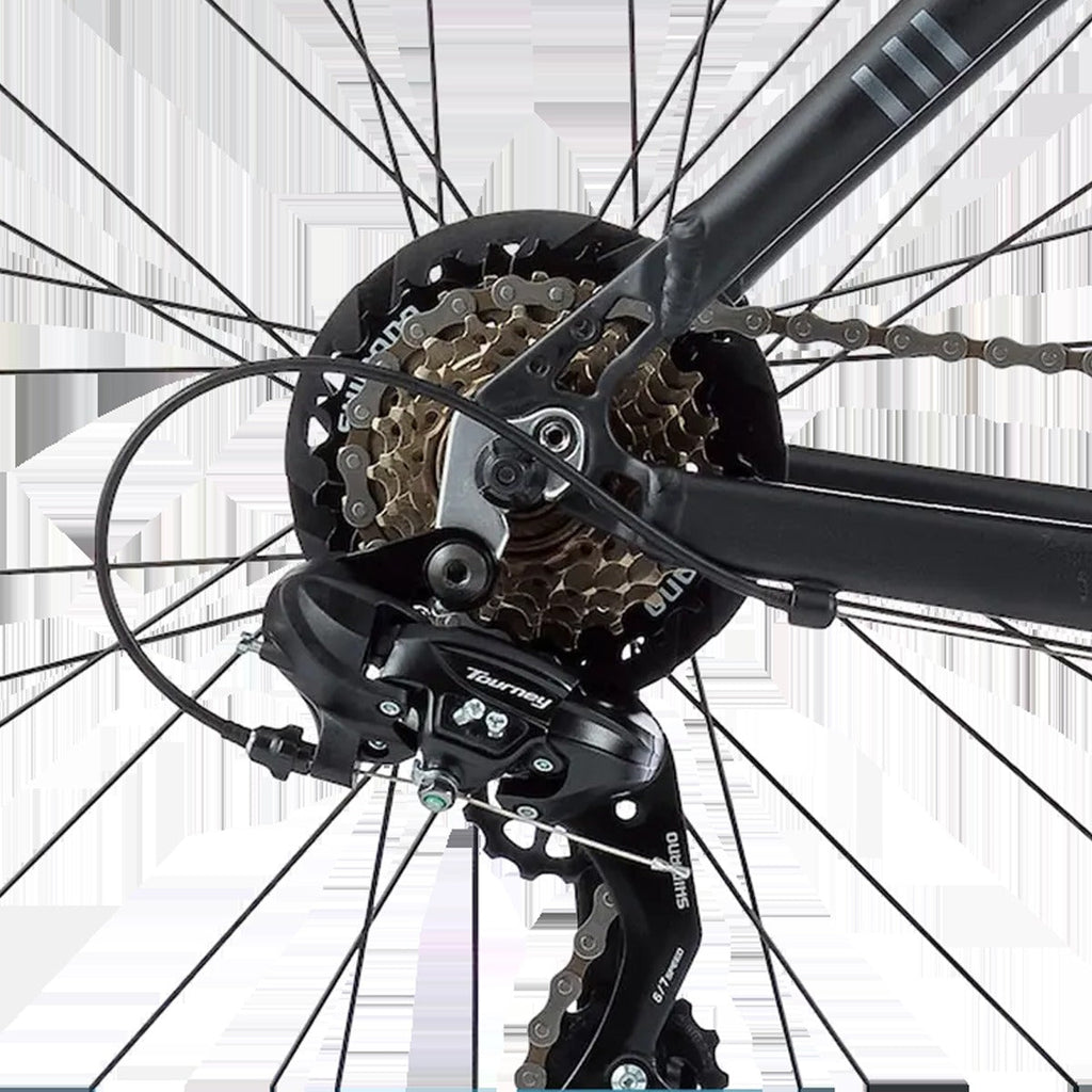 Fitness Bike