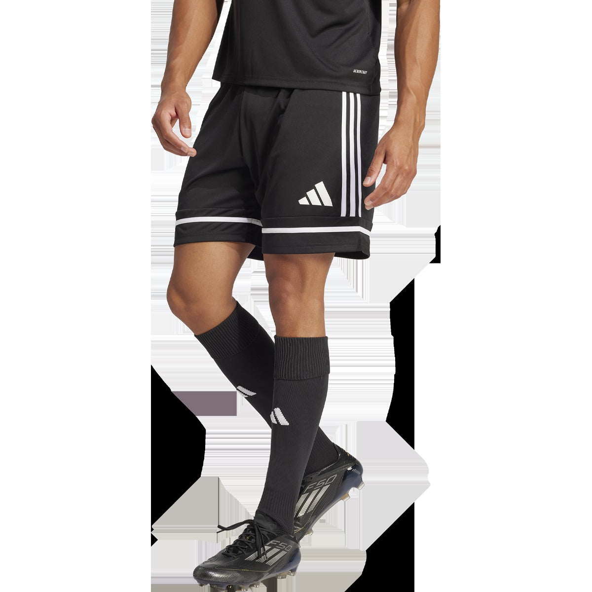 Men's Squadra 25 Shorts