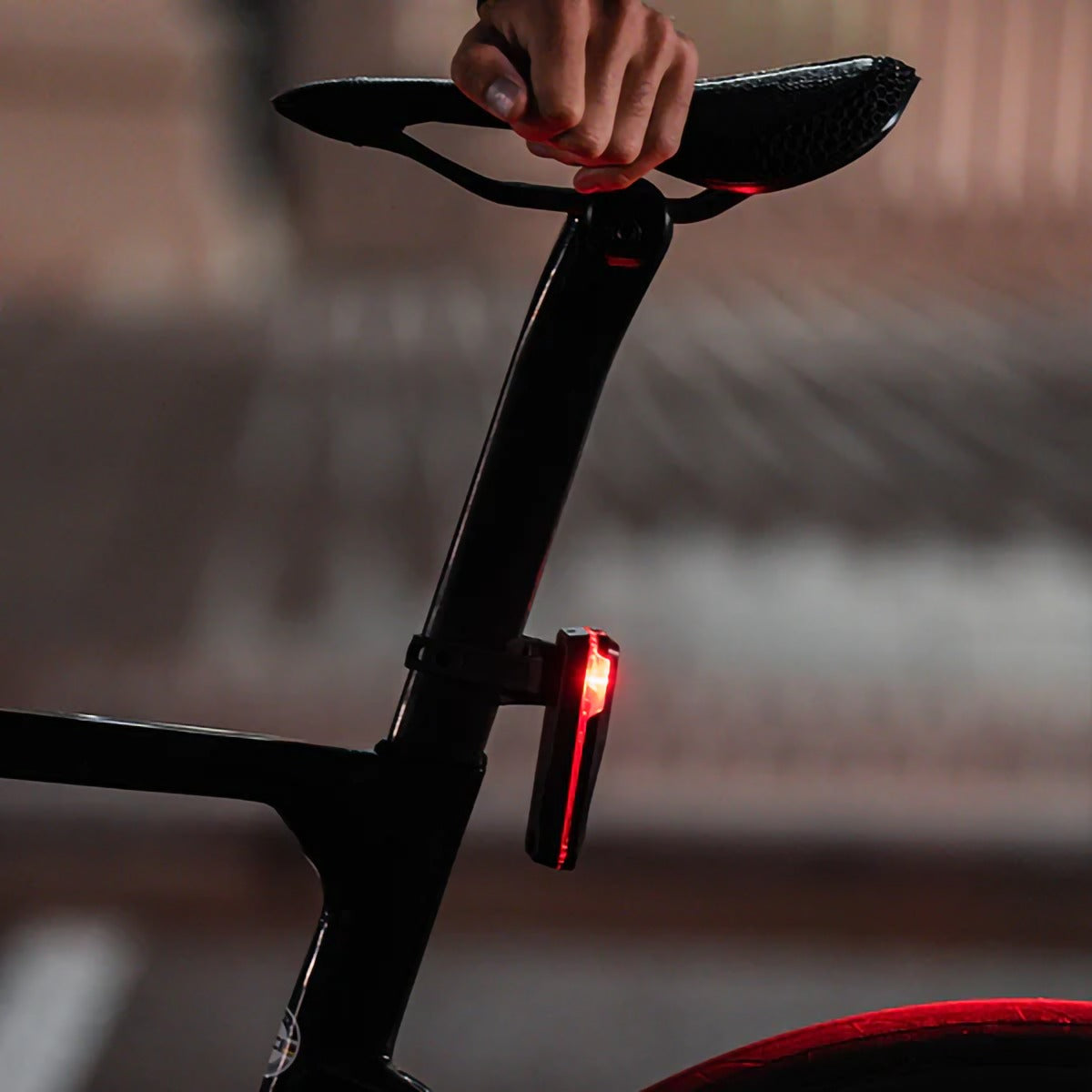 NT201 Tail Light