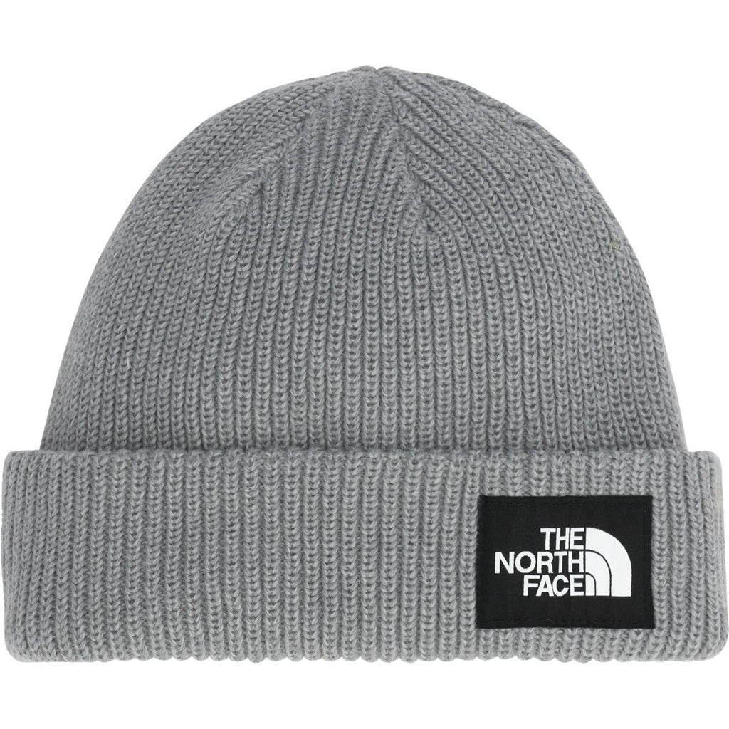 Salty Lined Beanie