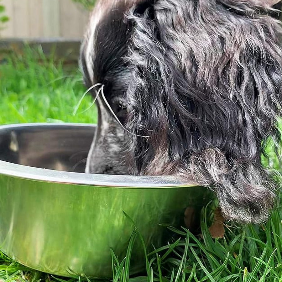 Dog Bowl S