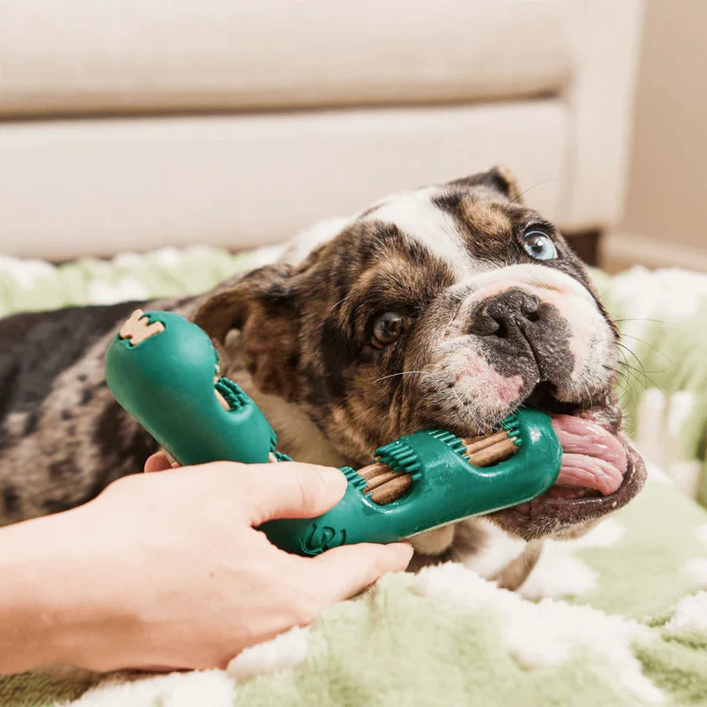 Bite N' Brush Dental Refills