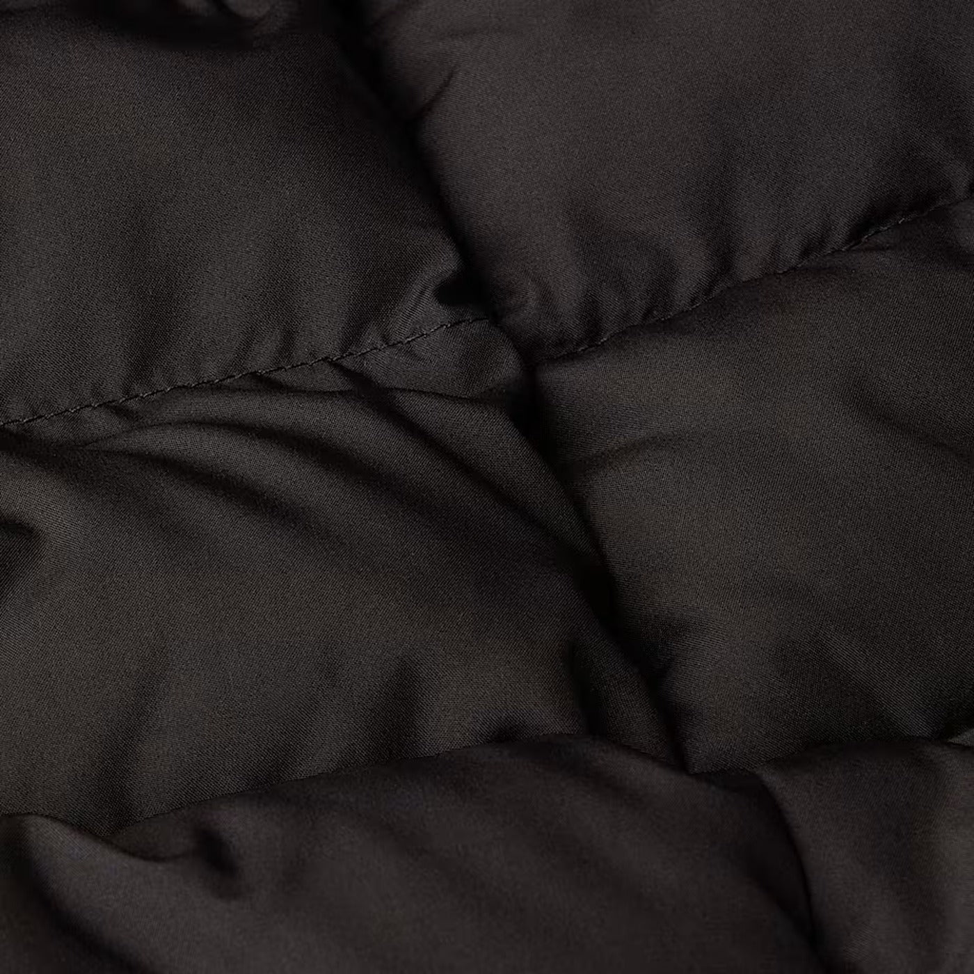 Women's Aconcagua Parka