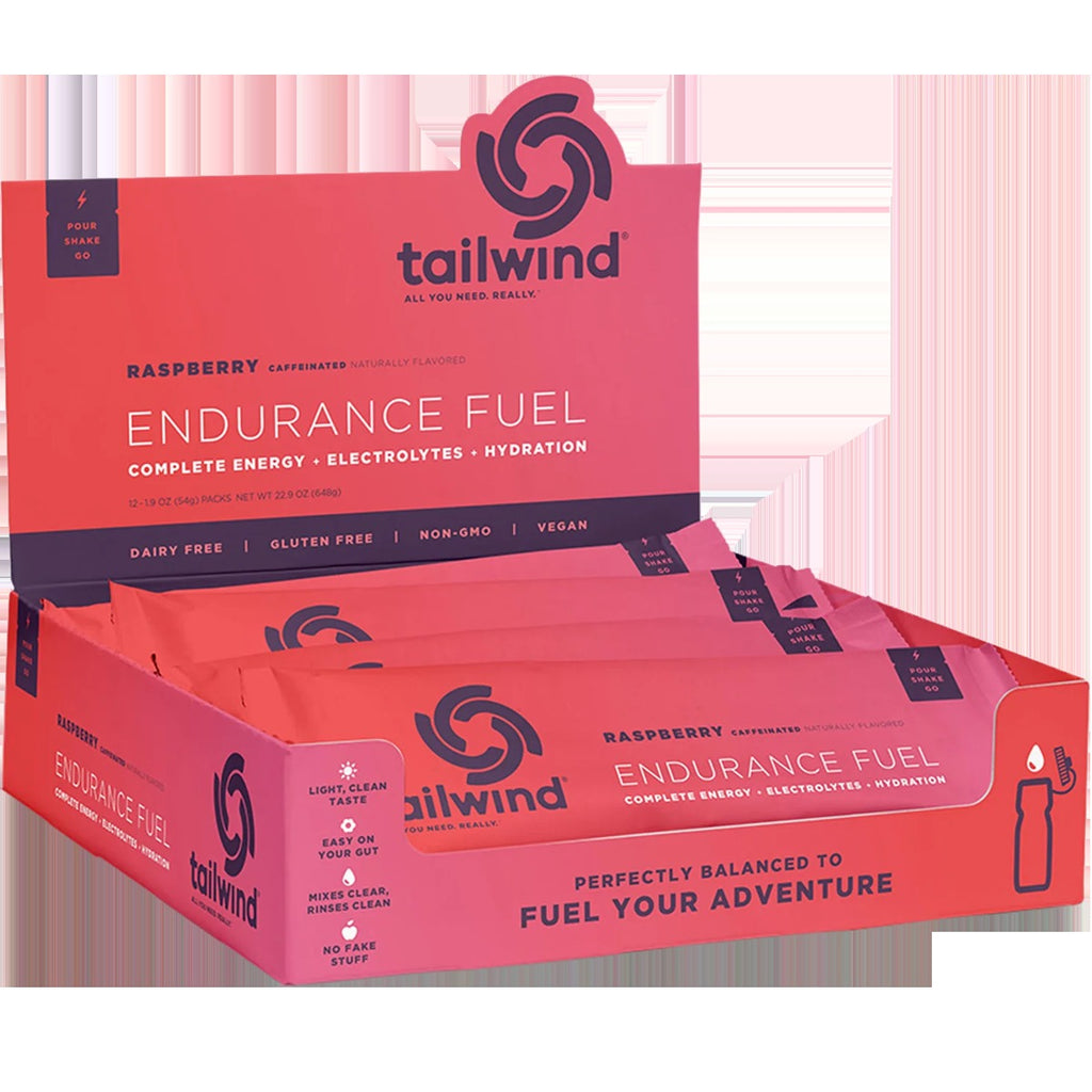 Endurance Fuel (Single Serving)