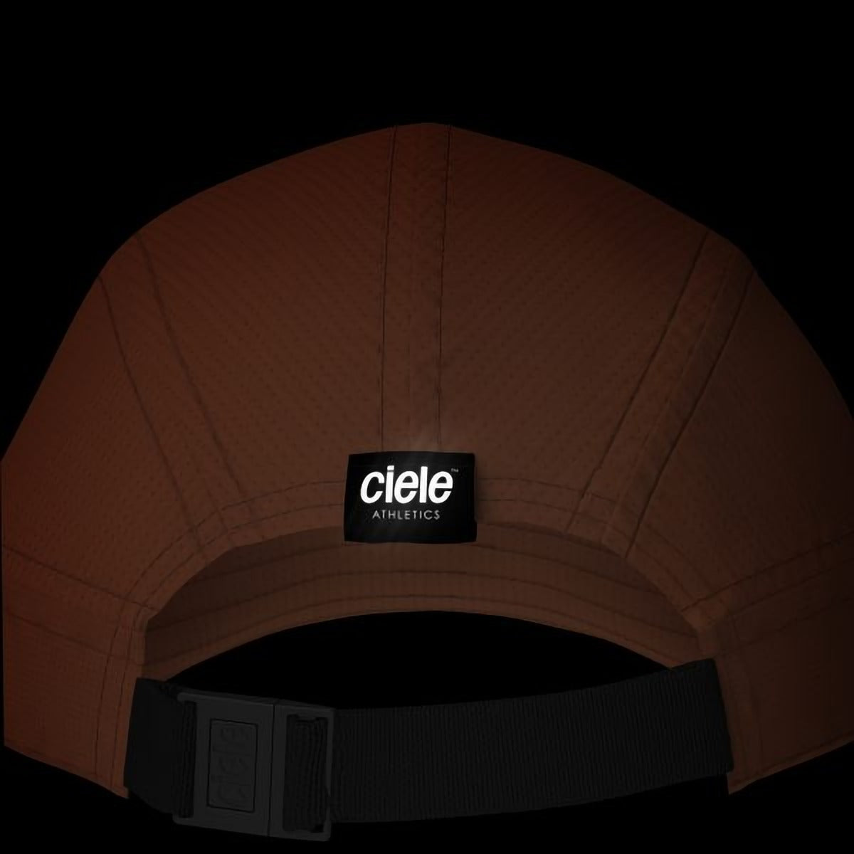 ALZCap SC - Standard Stripes
