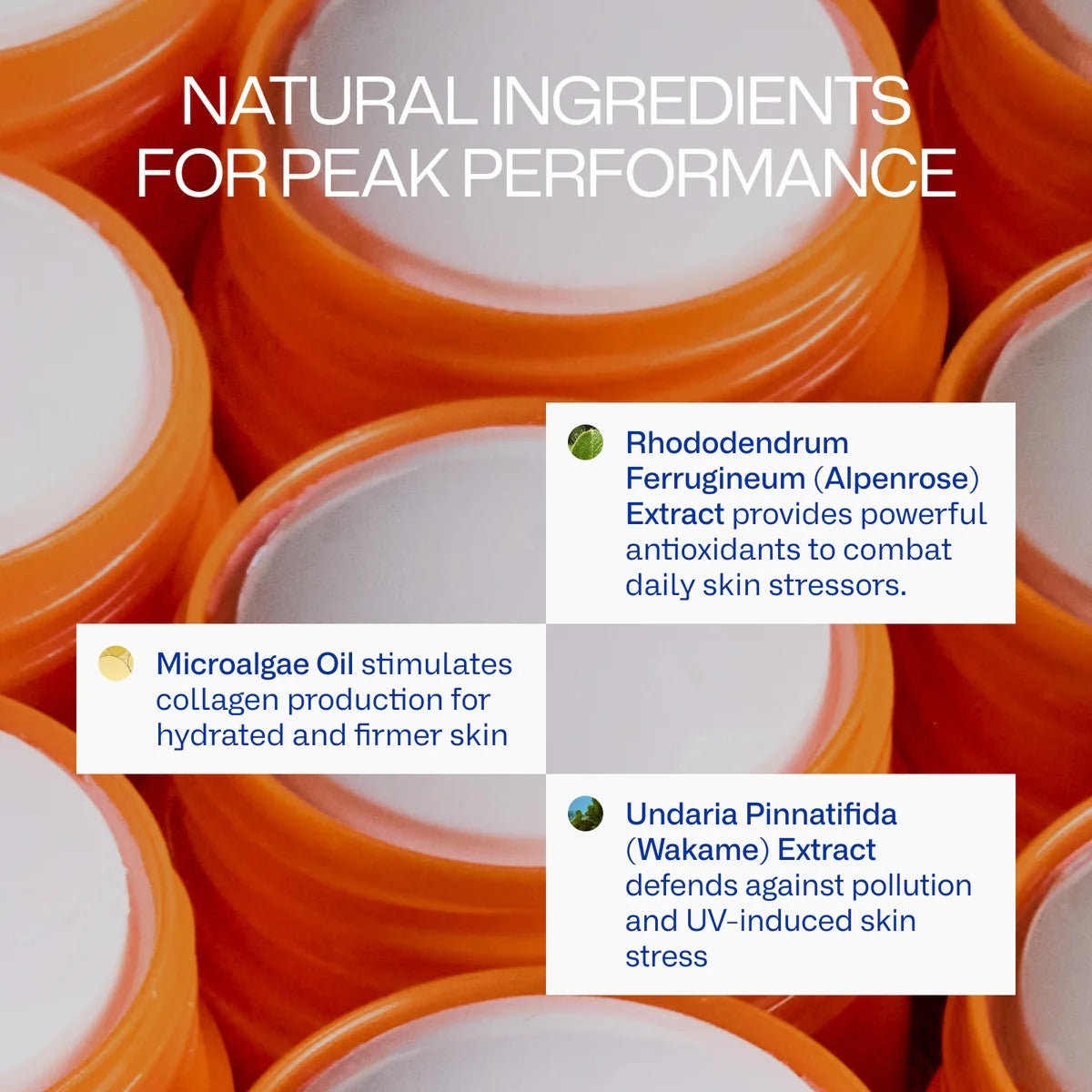 Peak Performance Jumbo Stick SPF 50