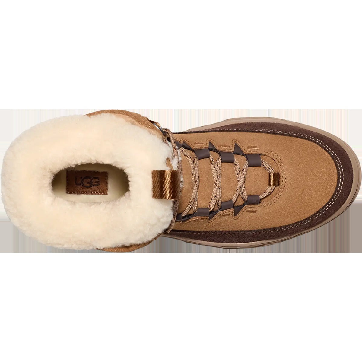 Women's TerreTrail Cozy Lace