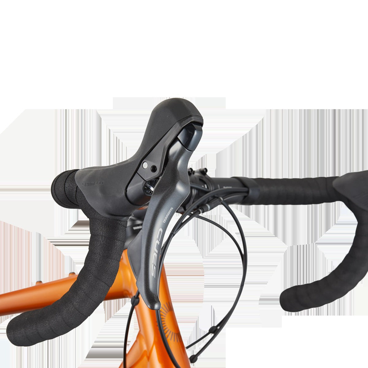 Synapse 2
