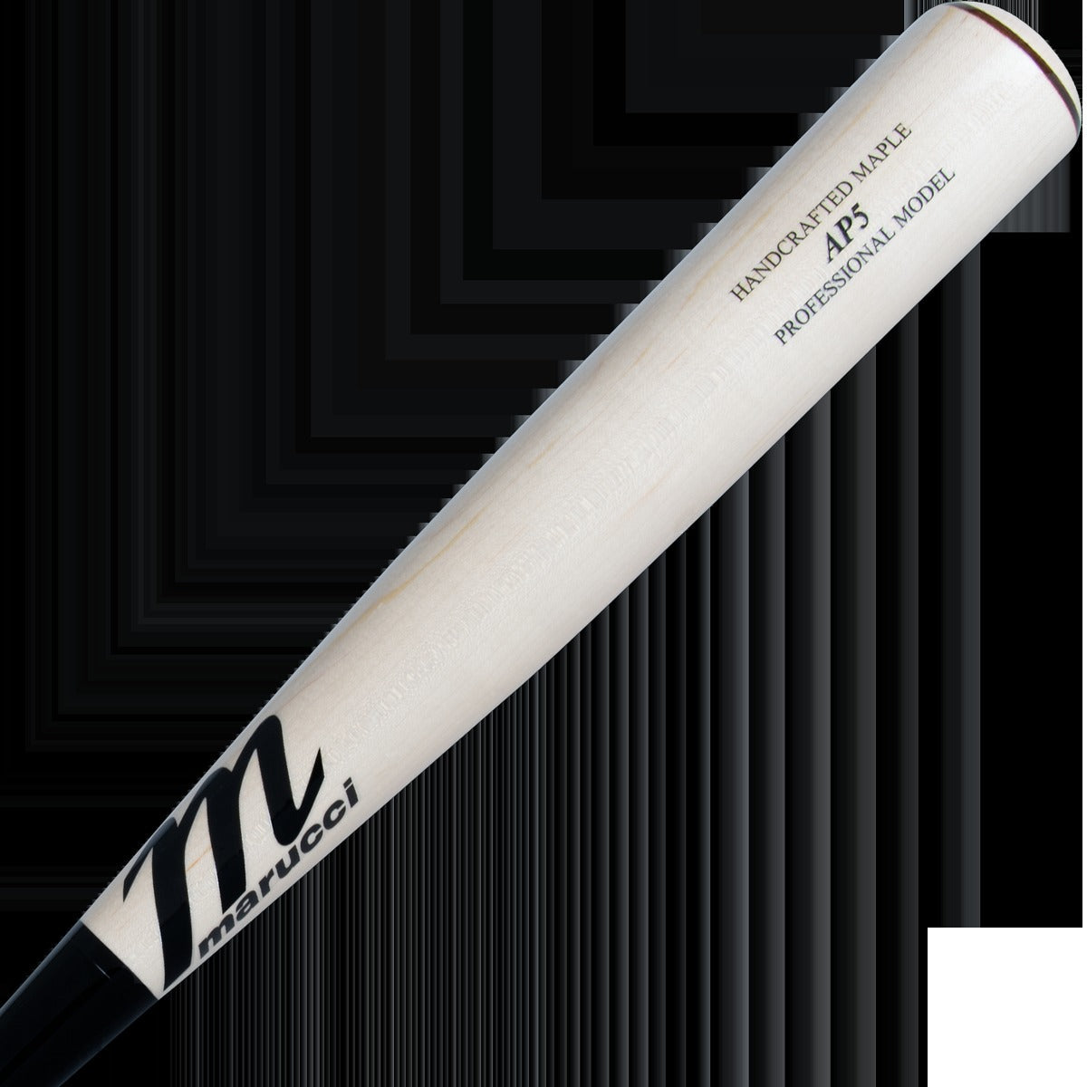 AP5 Pro Model