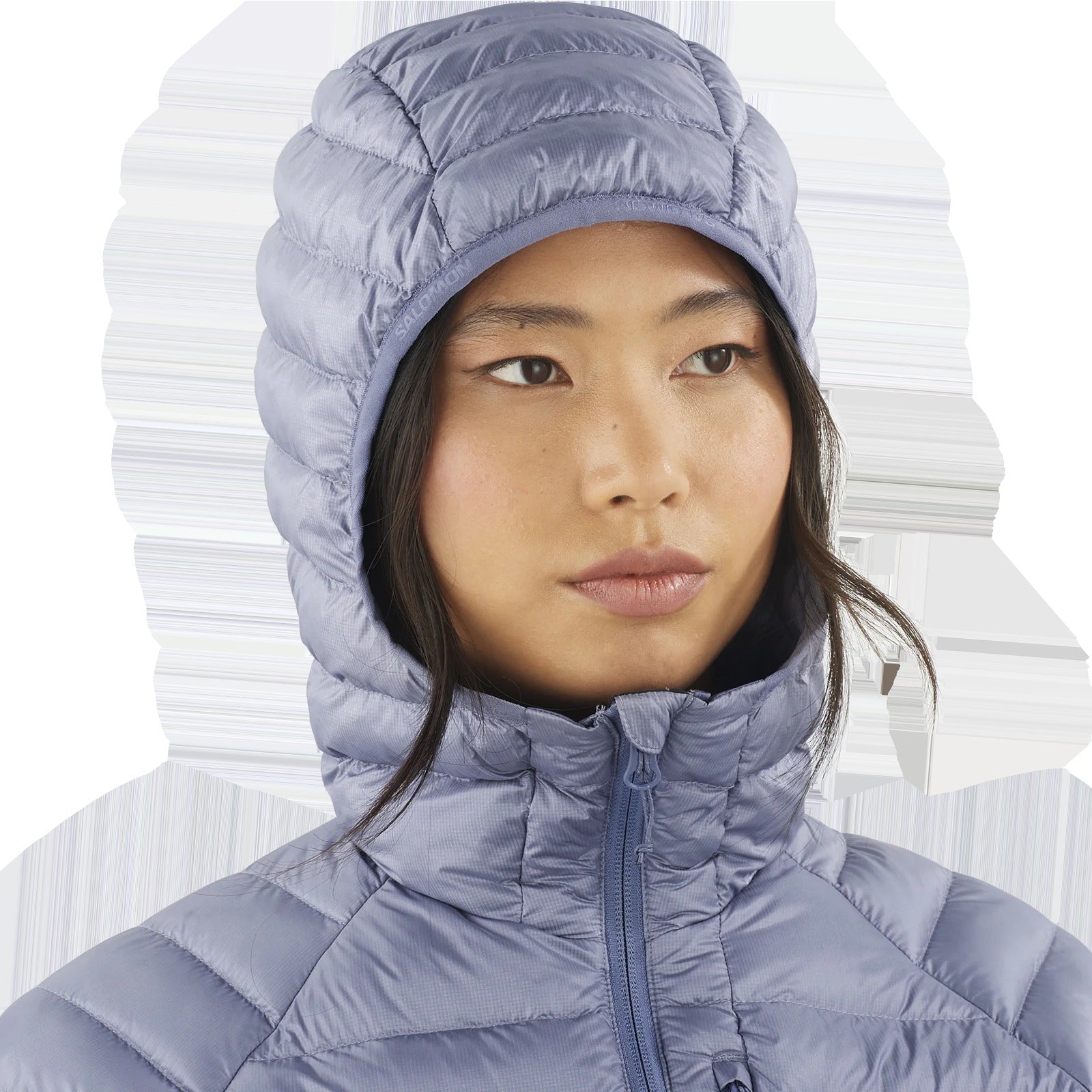 Women's Elixir Micro Down Hoody
