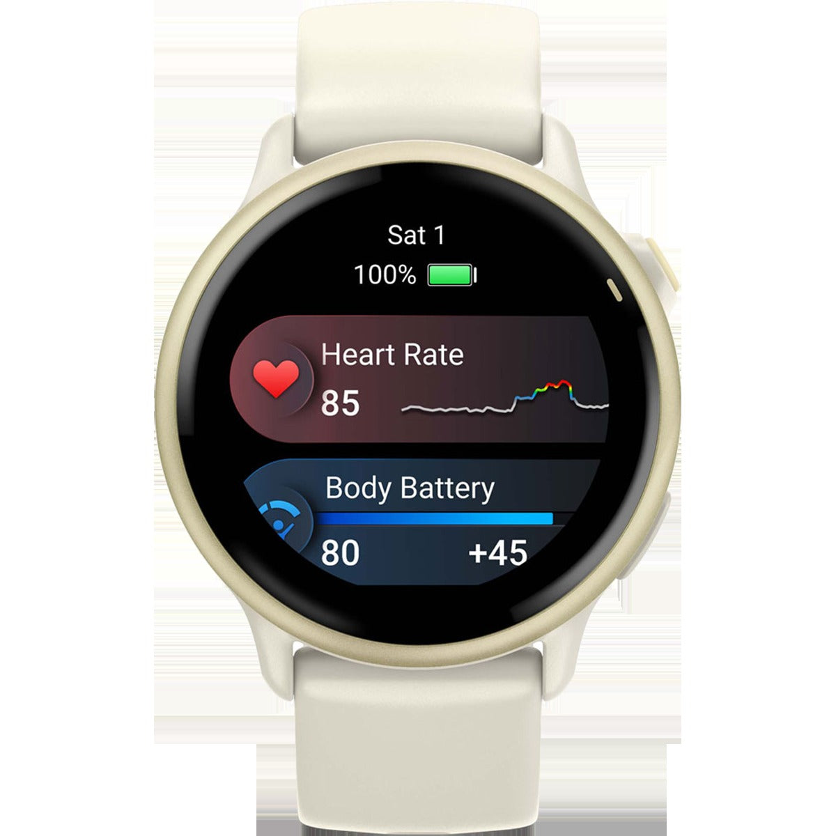 Vivoactive 6
