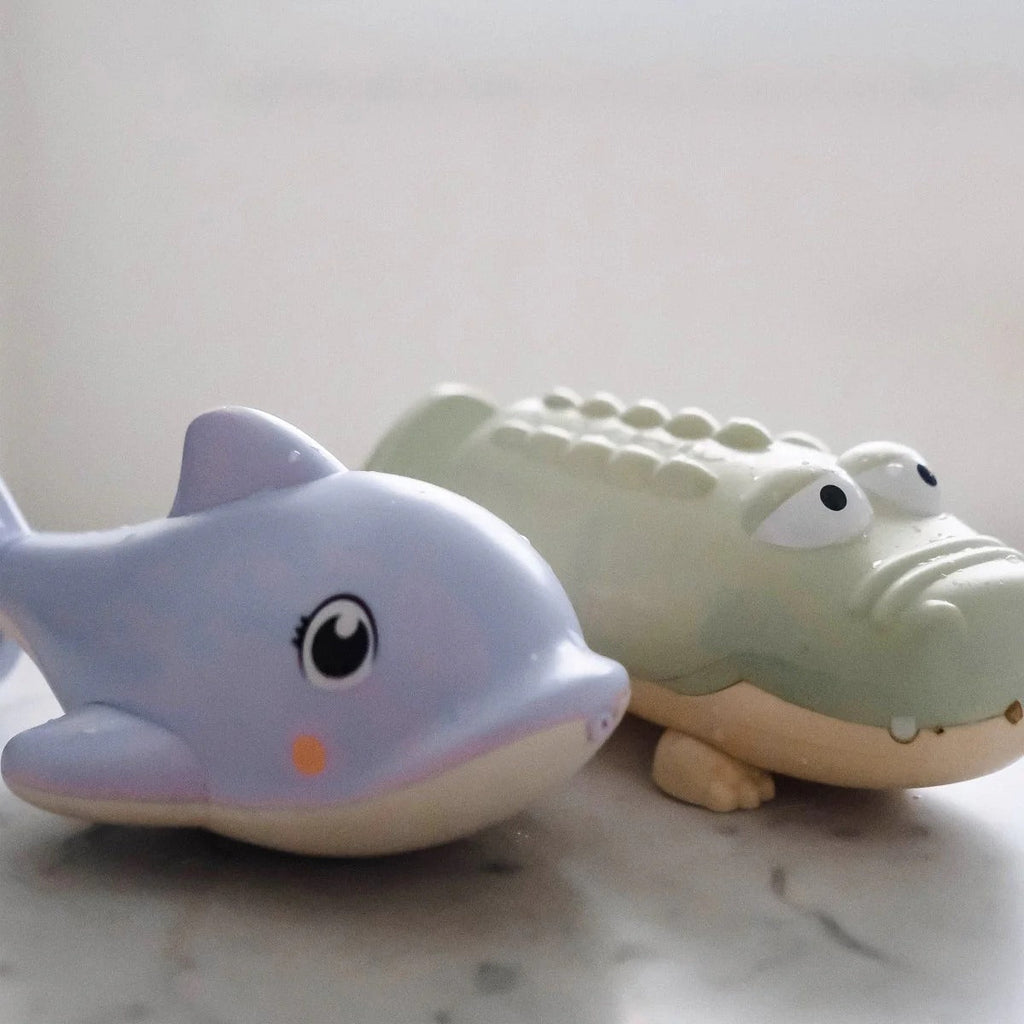 Water Squirters Dolphin