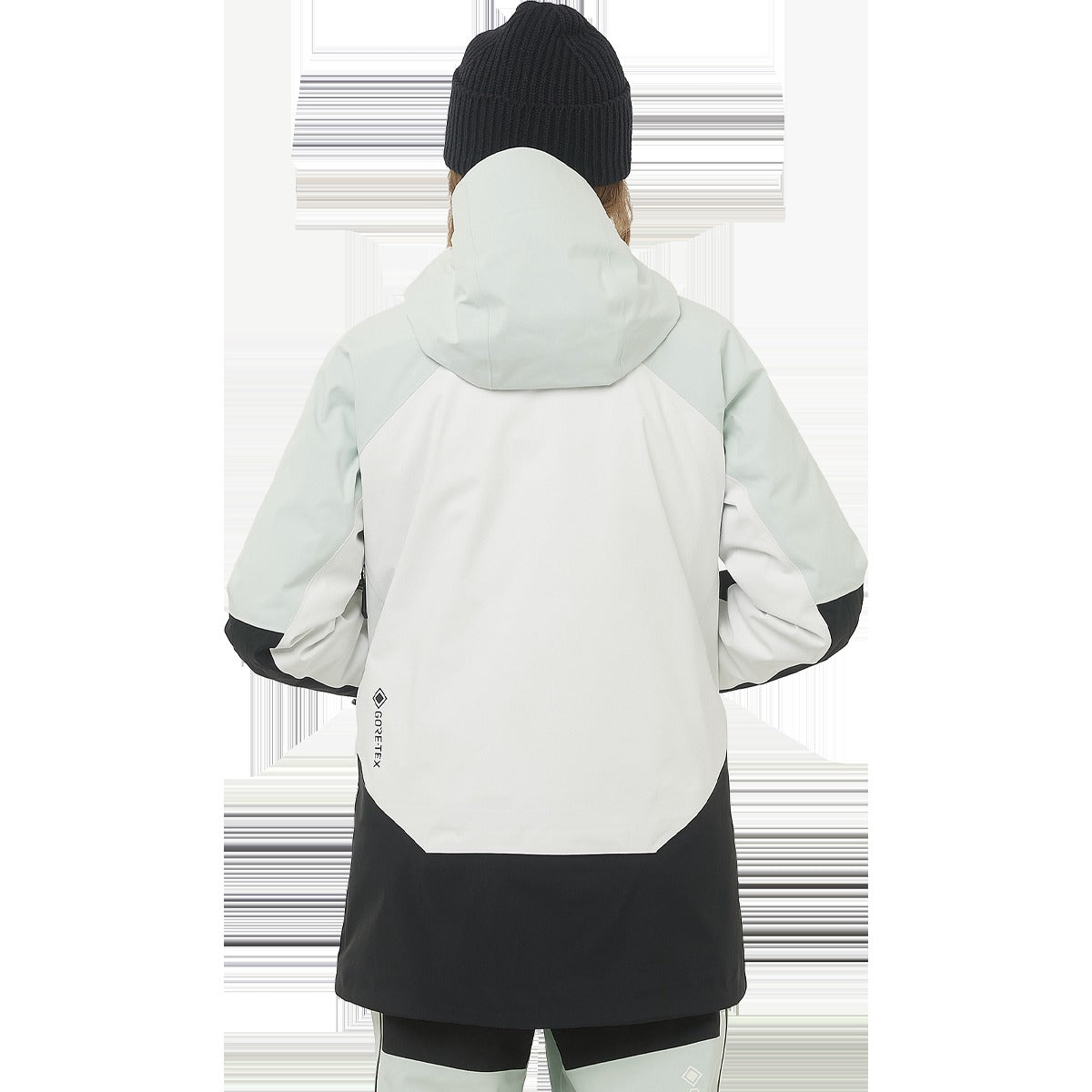 Women's Moon Patrol Gore-Tex Jacket