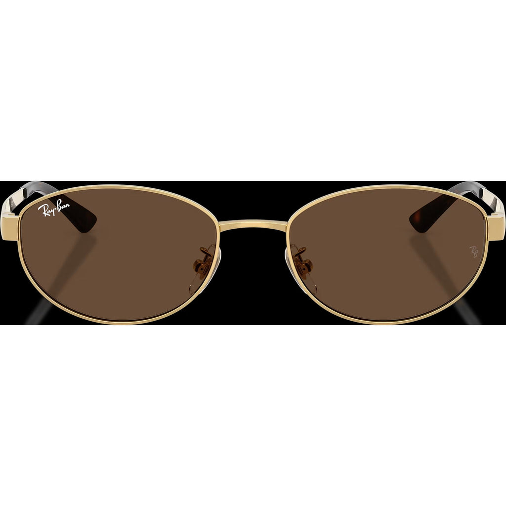 RB3774D - Arista Gold/Dark Brown