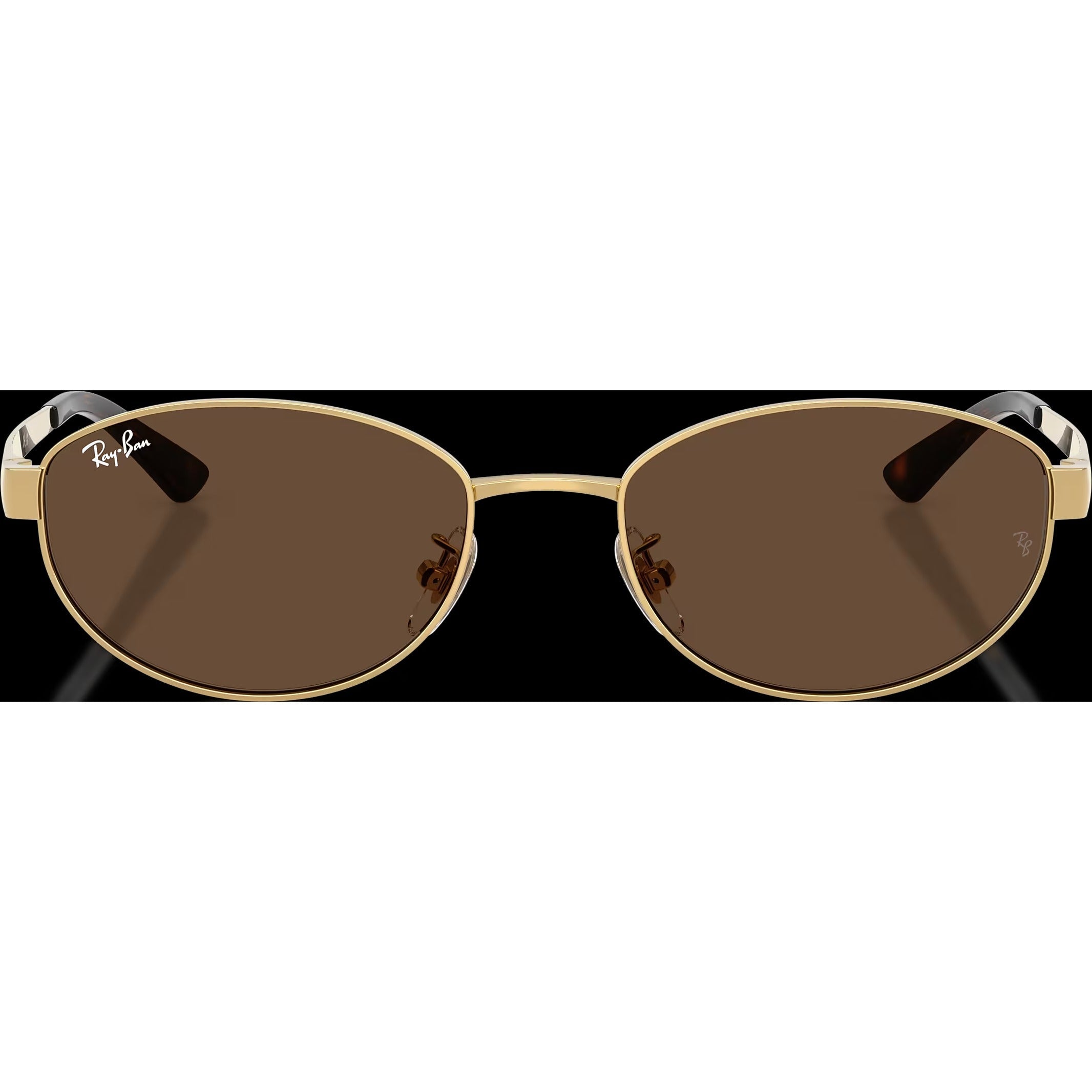RB3774D - Arista Gold/Dark Brown