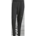 Men's D4T Knit Pant