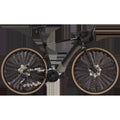 Topstone Carbon 4