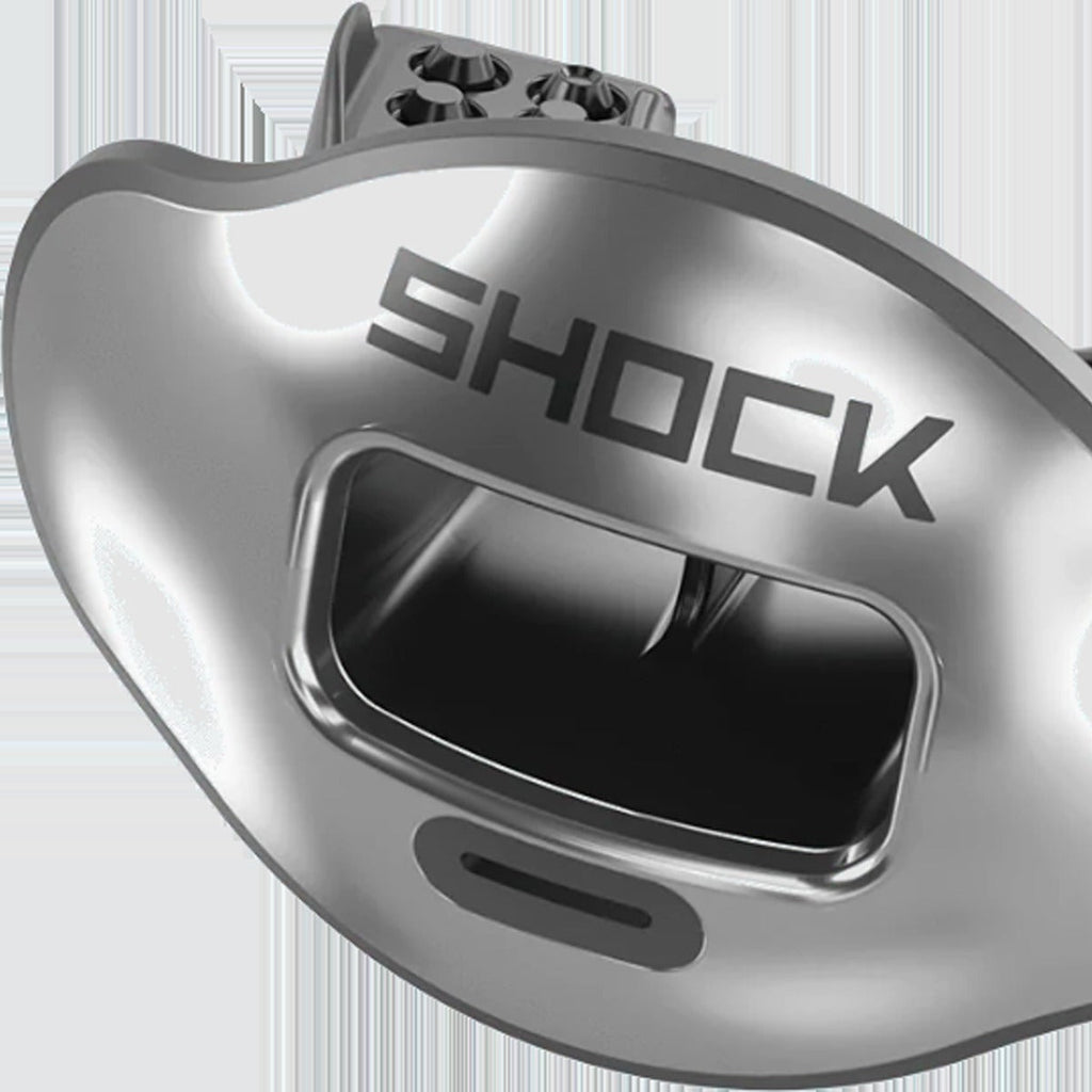 Max AirFlow Lip Guard Chrome