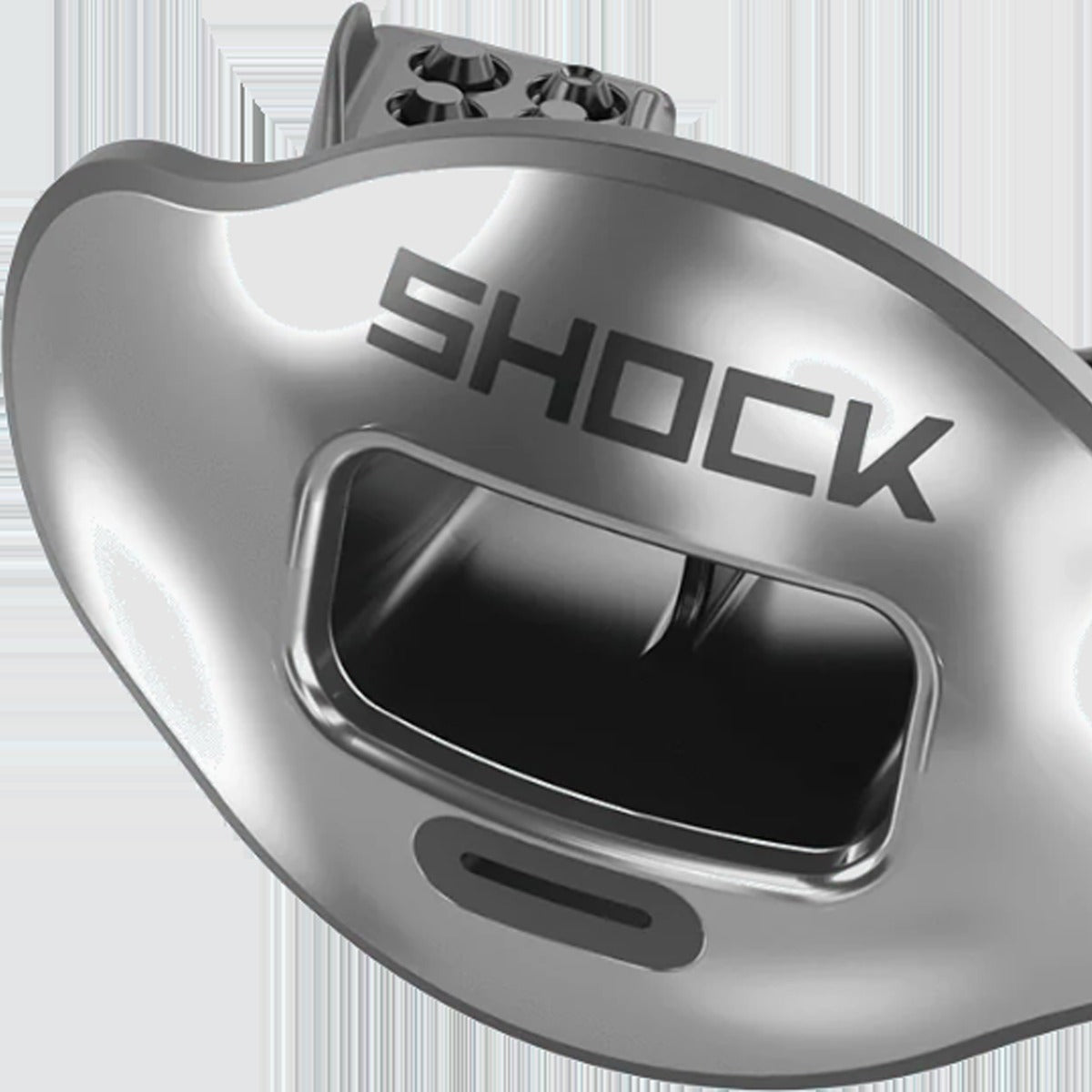 Max AirFlow Lip Guard Chrome