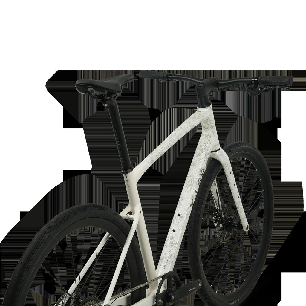 SP3