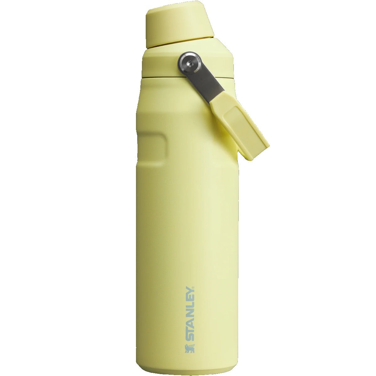 IceFlow Bottle 24 oz with Fast Flow Lid