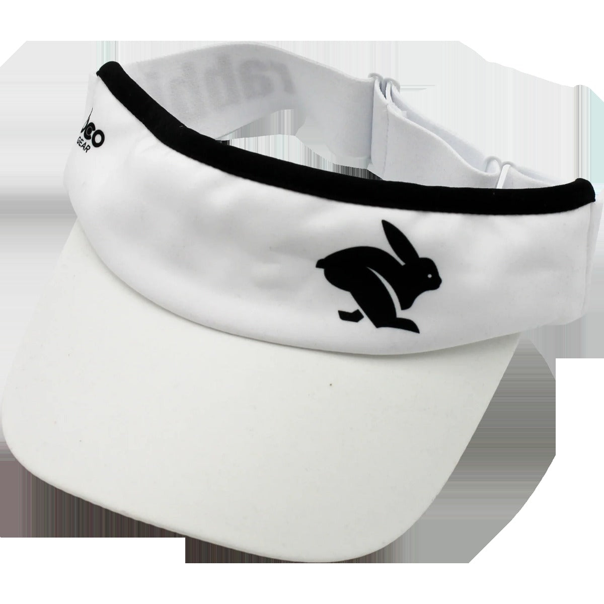 Visor