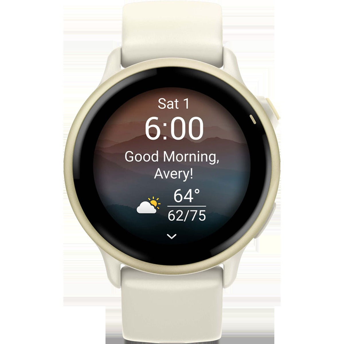 Vivoactive 6