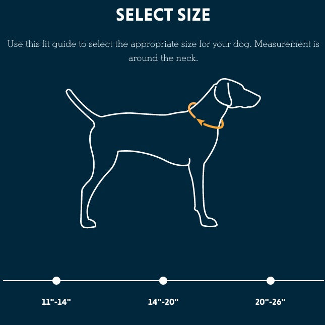Flat Out Dog Collar