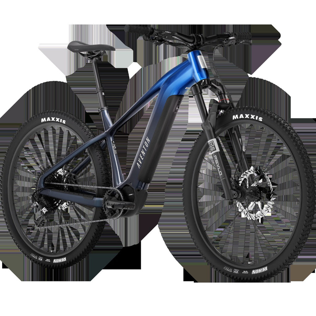 Ramblas ADV eMTB