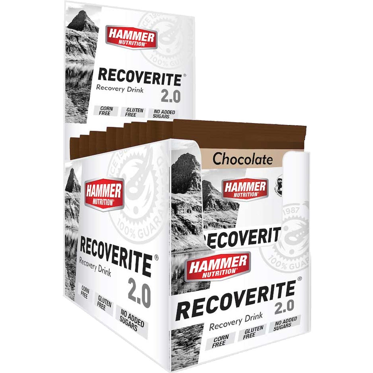 Recoverite 2.0 Single Serving