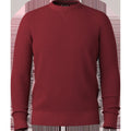 Men's Sparwood Crew Sweater