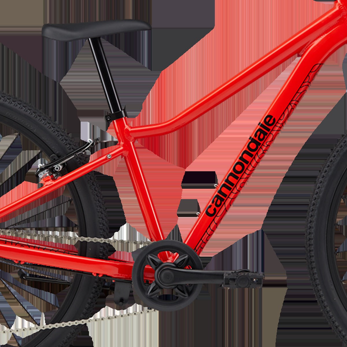 Youth Trail 24"