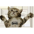 Flying Cat