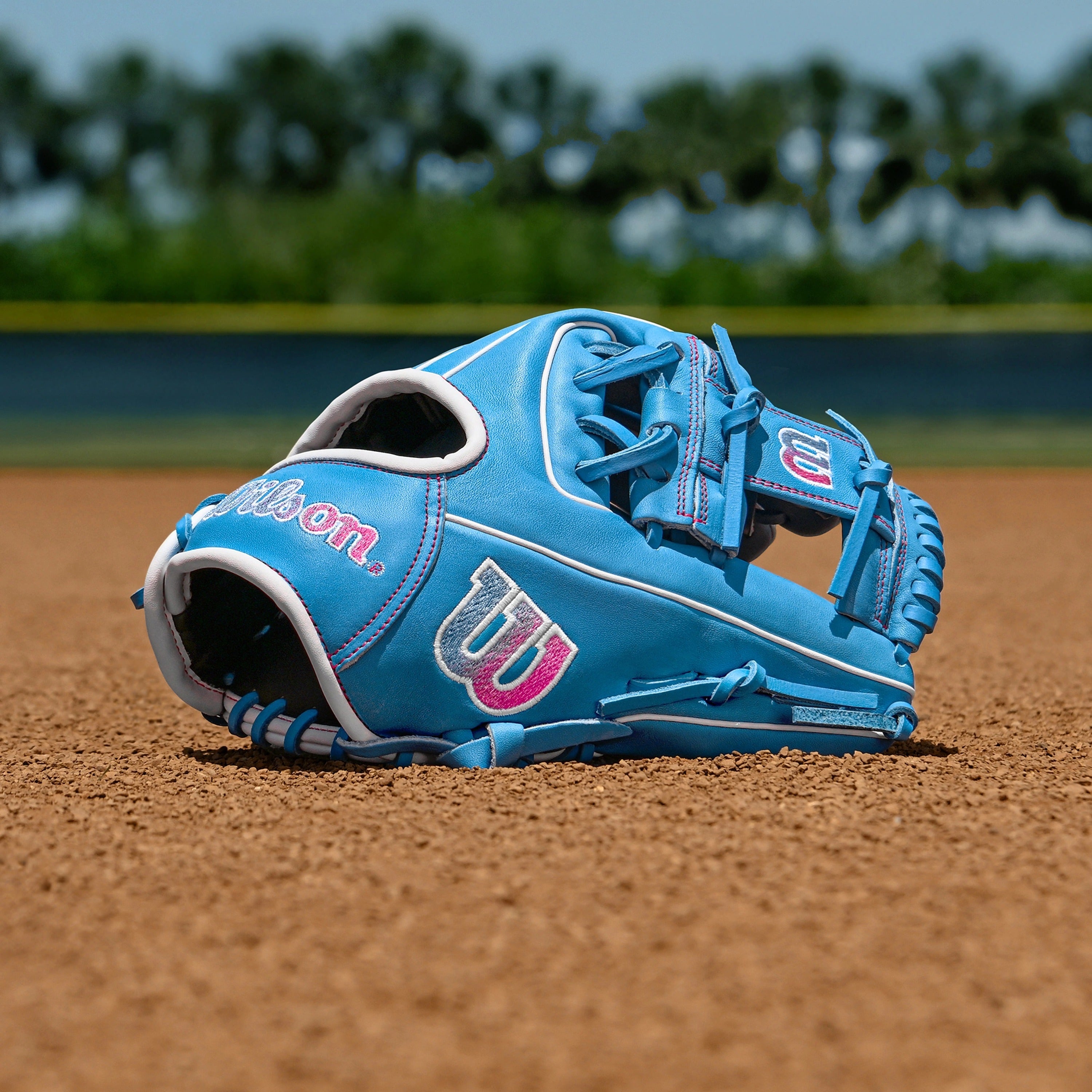 A1000 1786 Infield 11.5" H-Web