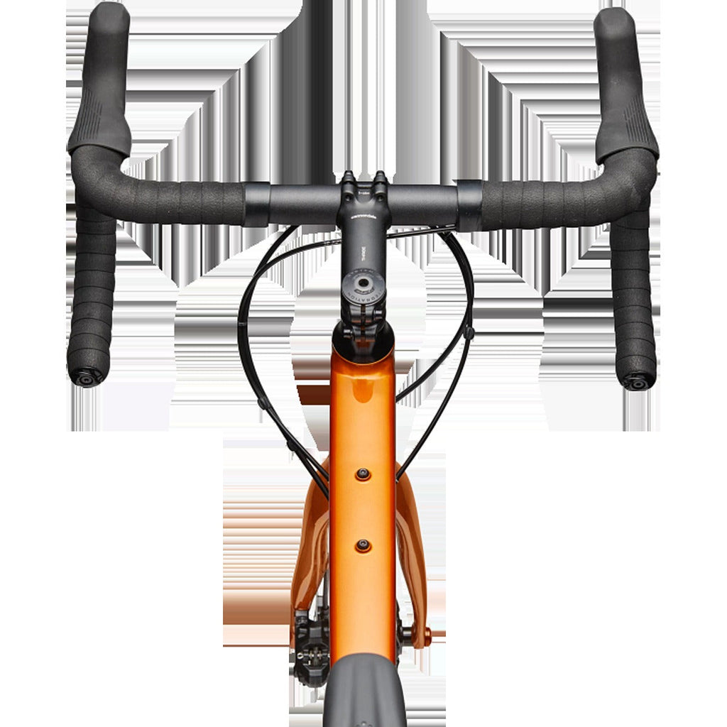 Synapse 2
