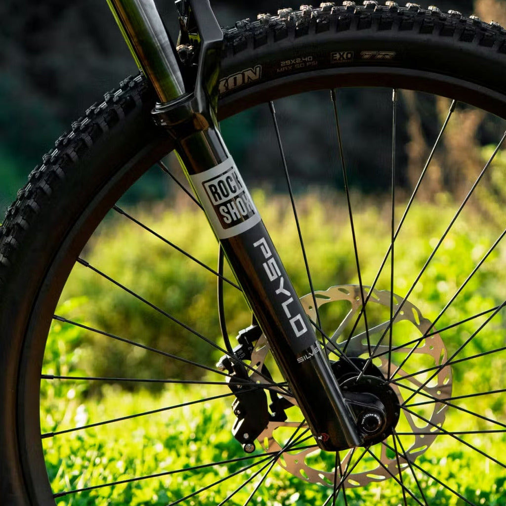 Ramblas ADV eMTB