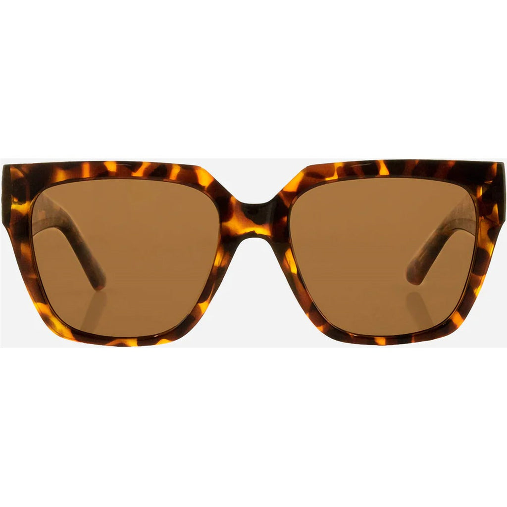 Brooklyn Polarized