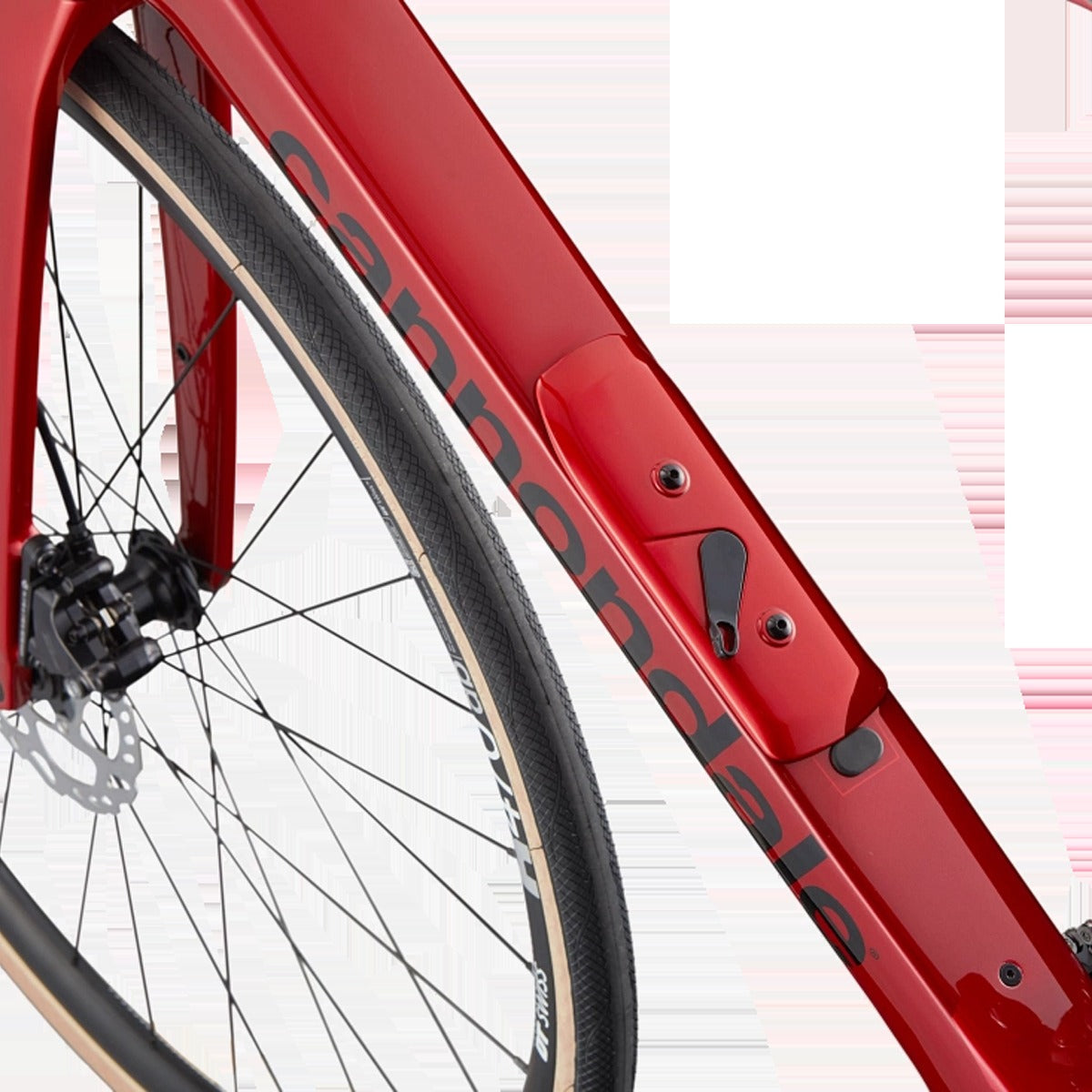 Synapse Carbon 4