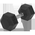Rubber Hex Dumbbell 30 lb