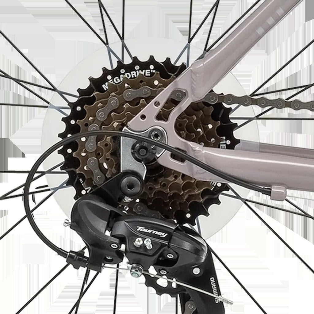 Lifestyle Bike