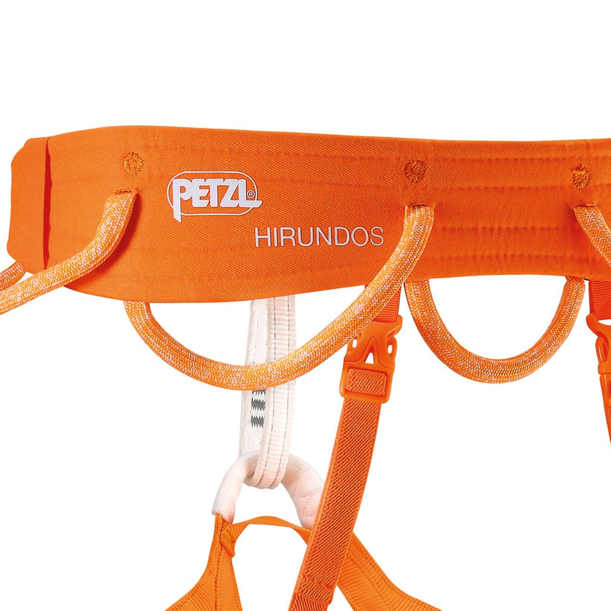 Hirundos Harness