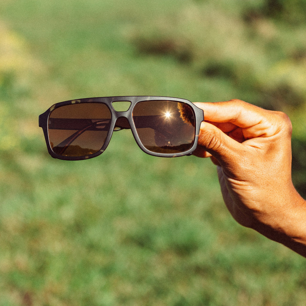 Paladino Tortoise Bronze