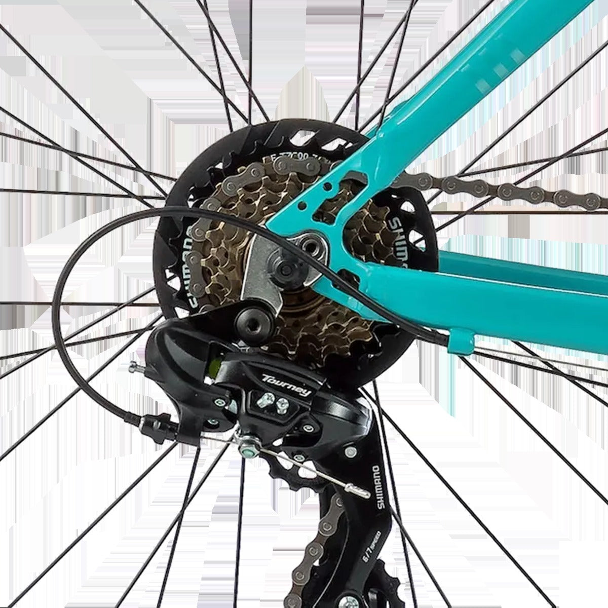Fitness Bike