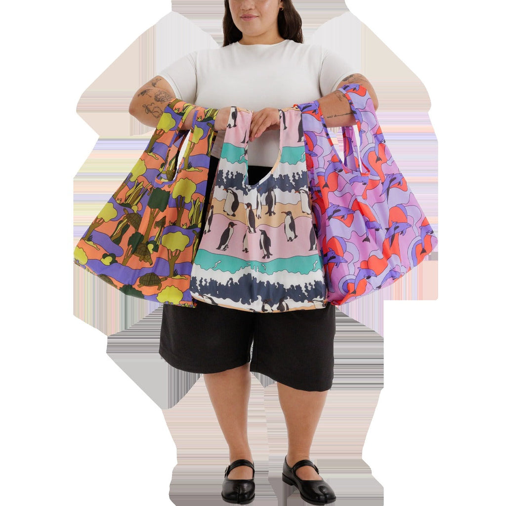Standard Baggu Set of 3
