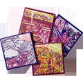 National Park Naturalist Coaster Set