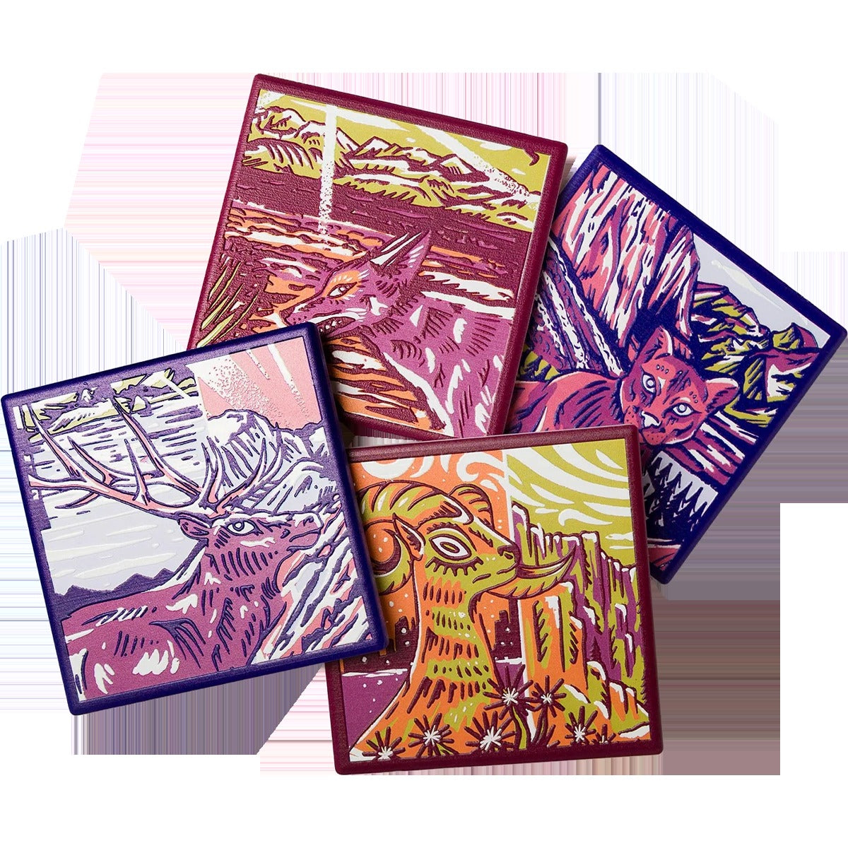 National Park Naturalist Coaster Set