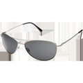 Patrol - Silver/Polarized Gray