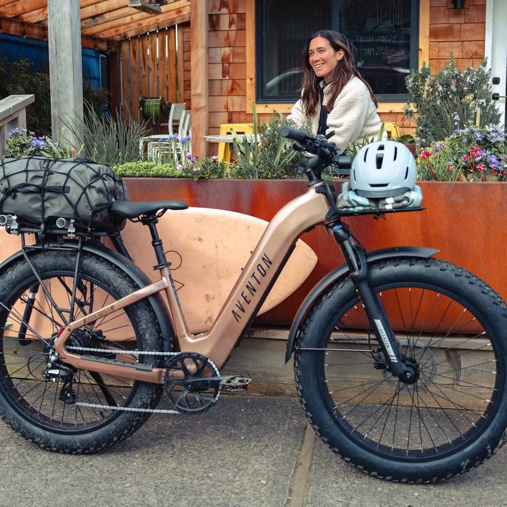 Aventure 3 Step Through Ebike