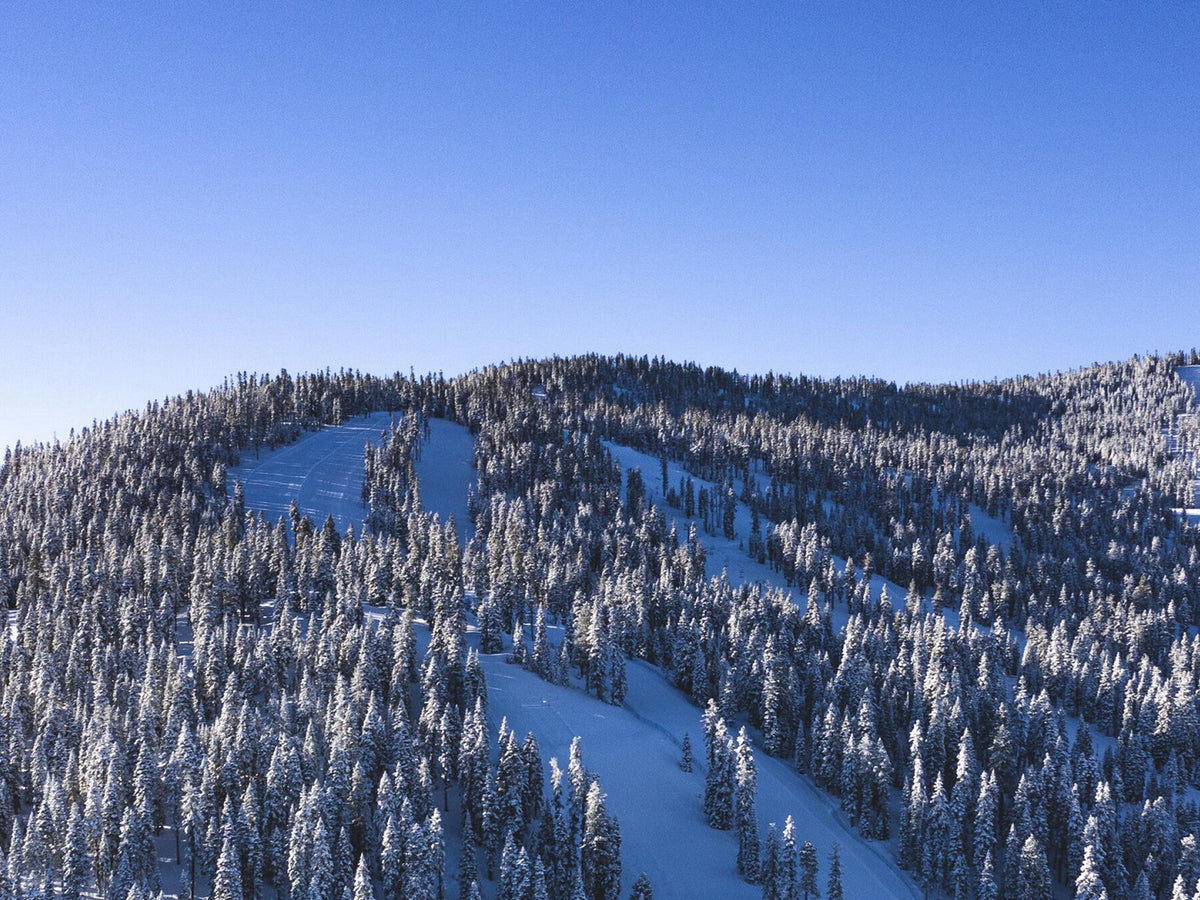 Northstar Ski Bus