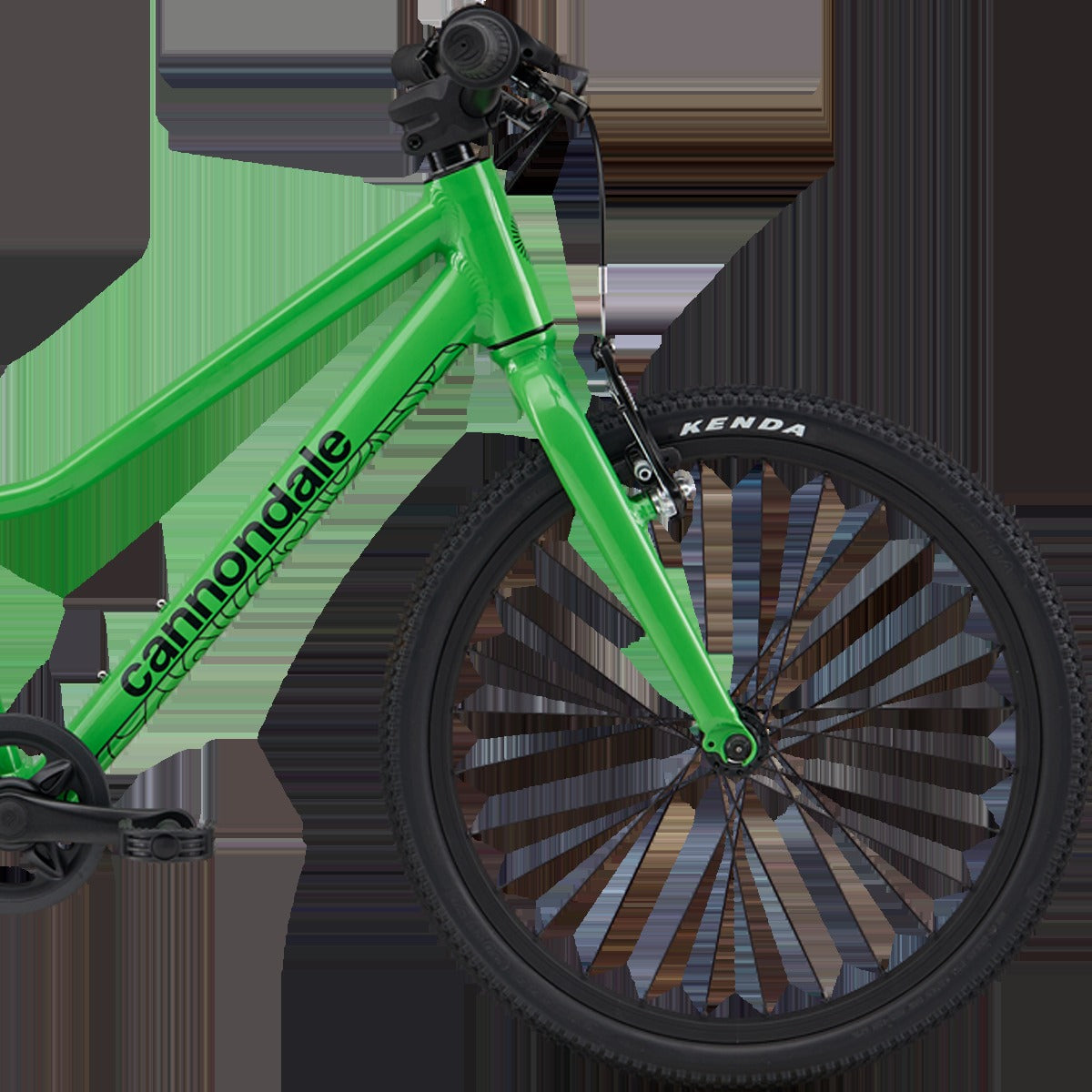 Youth Quick 20"